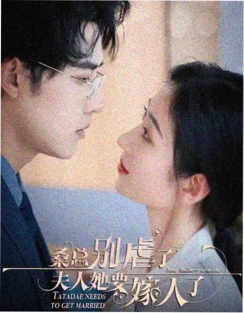 回声山谷 科幻悬疑剧集封面